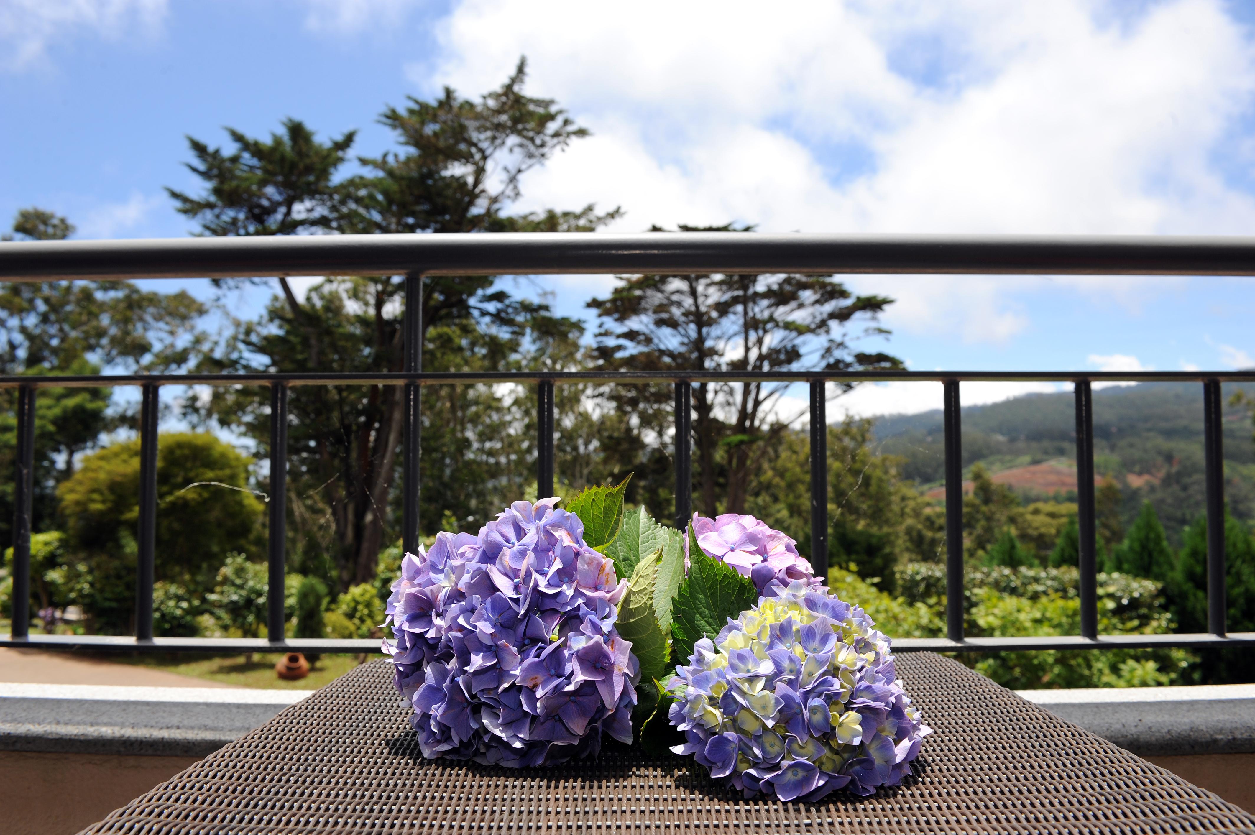 Quinta Da Cova Do Milho Hotel Santo Antonio da Serra Eksteriør billede