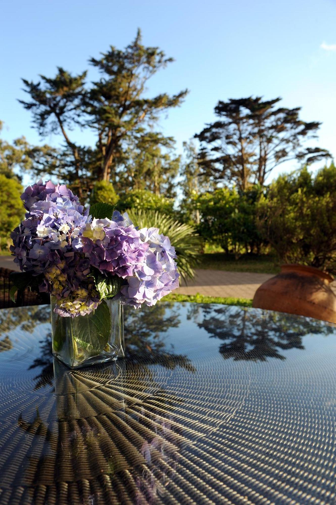 Quinta Da Cova Do Milho Hotel Santo Antonio da Serra Eksteriør billede