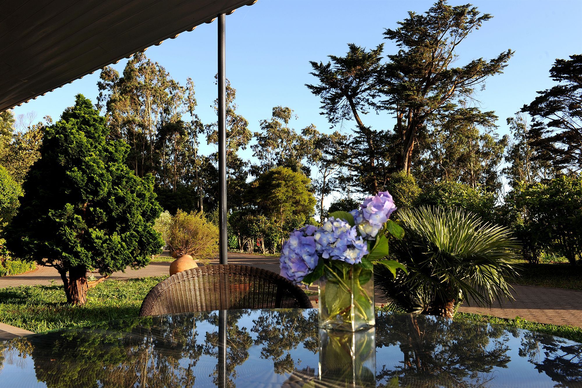 Quinta Da Cova Do Milho Hotel Santo Antonio da Serra Eksteriør billede
